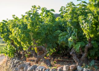 ΣΗΜΑΝΤΙΚΗ ΑΝΑΚΟΙΝΩΣΗ