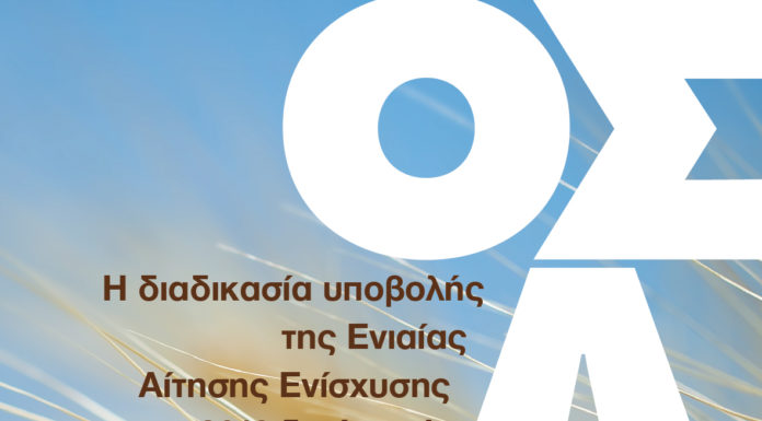 ΥΠΟΒΟΛΗΣ ΕΝΙΑΙΑΣ ΑΙΤΗΣΗΣ ΕΝΙΣΧΥΣΗΣ 2019