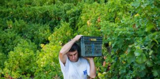 Πρόγραμμα παραλαβής από 16 έως και 21 Σεπτεμβρίου