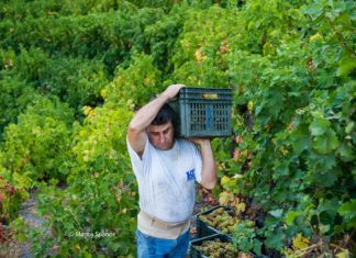 Πρόγραμμα παραλαβής από 16 έως και 21 Σεπτεμβρίου