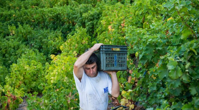 Πρόγραμμα παραλαβής από 16 έως και 21 Σεπτεμβρίου