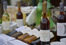 ΚΑΣΤΕΛΟΡΙΖΟ Διεθνές event πολιτισμού με τα κρασιά του ΕΟΣ Σάμου