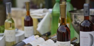 ΚΑΣΤΕΛΟΡΙΖΟ Διεθνές event πολιτισμού με τα κρασιά του ΕΟΣ Σάμου