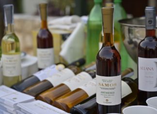 ΚΑΣΤΕΛΟΡΙΖΟ Διεθνές event πολιτισμού με τα κρασιά του ΕΟΣ Σάμου