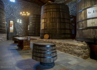 ΡΑΝΤΕΒΟΥ… ΜΕ ΤΟ ΜΟΥΣΕΙΟ ΟΙΝΟΥ