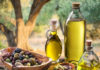 Οι ΓΕΩΠΟΝΟΙ ΤΟΥ ΕΟΣΣ ΣΥΜΒΟΥΛΕΥΟΥΝ: Οδηγίες για ποιοτικό ελαιόλαδο