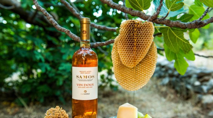 Τέχνη και σαμιώτικο κρασί «στο Ατελιέ»