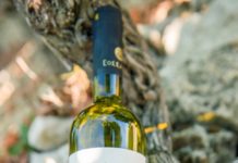 ΣΑΜΙΩΤΙΚΟΙ ΡΕΒΥΘΟΚΕΦΤΕΔΕΣ