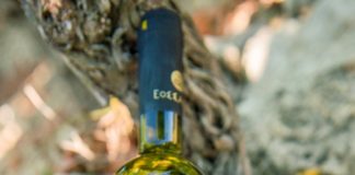 ΣΑΜΙΩΤΙΚΟΙ ΡΕΒΥΘΟΚΕΦΤΕΔΕΣ