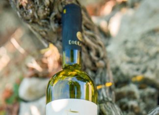 ΣΑΜΙΩΤΙΚΟΙ ΡΕΒΥΘΟΚΕΦΤΕΔΕΣ