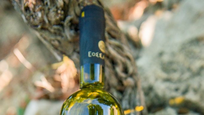 ΣΑΜΙΩΤΙΚΟΙ ΡΕΒΥΘΟΚΕΦΤΕΔΕΣ