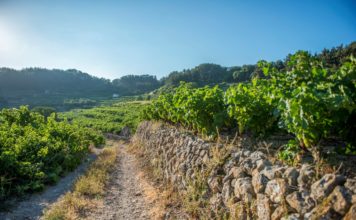 ΕΠΕΙΓΟΥΣΑ ΑΝΑΚΟΙΝΩΣΗ ΨΕΚΑΣΜΟΥ ΚΑΤΑ ΕΥΔΕΜΙΔΑΣ