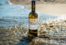 ΣΤΙΣ «ΨΗΛΕΣ ΚΟΡΦΕΣ» ΤΗΣ ΣΑΜΟΥ