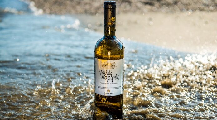 ΣΤΙΣ «ΨΗΛΕΣ ΚΟΡΦΕΣ» ΤΗΣ ΣΑΜΟΥ