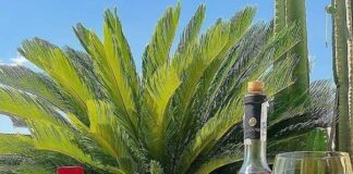 Εμπειρία οινογευσίας στα πλαίσια του Mediterranean Cheese & Wine