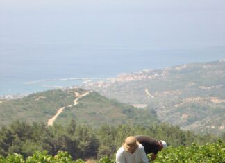 ΠΡΟΓΡΑΜΜΑ ΠΑΡΑΛΑΒΗΣ 24/08/2020 – 29/08/2020 για τα οινοποιεία ΜΑΛΑΓΑΡΙΟΥ και ΚΑΡΛΟΒΑΣΟΥ του ΕΟΣ ΣΑΜΟΥ