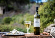 ΤΑ… ΚΡΑΣΙΑ ΤΩΝ ΕΣΠΕΡΙΔΩΝ