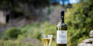 ΤΑ… ΚΡΑΣΙΑ ΤΩΝ ΕΣΠΕΡΙΔΩΝ