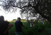 ΘΑΛΑΣΣΙΝΕΣ ΙΣΤΟΡΙΕΣ Ταξιδεύοντας σε μια θάλασσα σαμιακών αμπελώνων