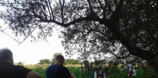 ΘΑΛΑΣΣΙΝΕΣ ΙΣΤΟΡΙΕΣ Ταξιδεύοντας σε μια θάλασσα σαμιακών αμπελώνων