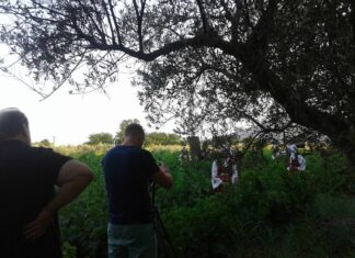 ΘΑΛΑΣΣΙΝΕΣ ΙΣΤΟΡΙΕΣ Ταξιδεύοντας σε μια θάλασσα σαμιακών αμπελώνων