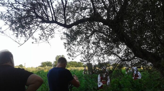 ΘΑΛΑΣΣΙΝΕΣ ΙΣΤΟΡΙΕΣ Ταξιδεύοντας σε μια θάλασσα σαμιακών αμπελώνων