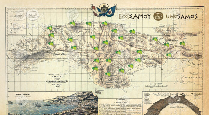 «Είναι ηθικό μας καθήκον η στήριξη του αμπελοοινικού κλάδου!»