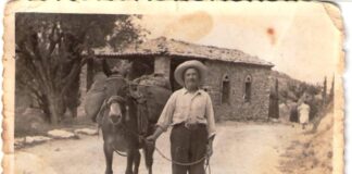 «1000 ΓΟΜΑΡΙΑ»: Ευχή τρυγητού για το σαμιώτικο Μοσχάτο