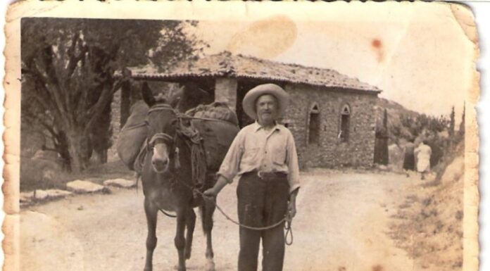 «1000 ΓΟΜΑΡΙΑ»: Ευχή τρυγητού για το σαμιώτικο Μοσχάτο