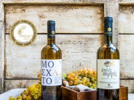 Συλλογή «διαμαντιών» στο Συνεταιρισμό της Σάμου!