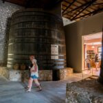 ΜΟΥΣΕΙΟ ΟΙΝΟΥ 2