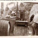 σταφυλοδόχος-και-ζυγιστής