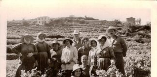 Τρύγος στη Σάμο: Μια μακραίωνη, γλυκιά τελετουργία.