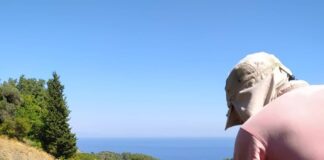 ΑΝΑΚΟΙΝΩΣΗ ΠΑΡΑΛΑΒΗΣ ΣΤΑΦΥΛΙΩΝ