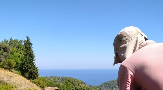 ΑΝΑΚΟΙΝΩΣΗ ΠΑΡΑΛΑΒΗΣ ΣΤΑΦΥΛΙΩΝ