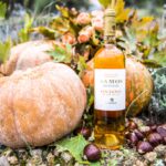 Στη Σάμο, παρέα με ένα μοναδικό κρασί