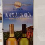 261083779_4699952146691588_1551917095538081227_n