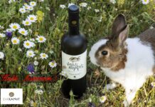 ΑΝΑΣΤΑΣΙΜΕΣ ΕΥΧΕΣ ΑΠΟ ΕΟΣ ΣΑΜΟΥ