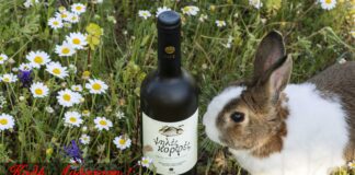 ΑΝΑΣΤΑΣΙΜΕΣ ΕΥΧΕΣ ΑΠΟ ΕΟΣ ΣΑΜΟΥ