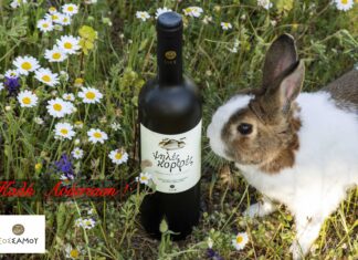 ΑΝΑΣΤΑΣΙΜΕΣ ΕΥΧΕΣ ΑΠΟ ΕΟΣ ΣΑΜΟΥ