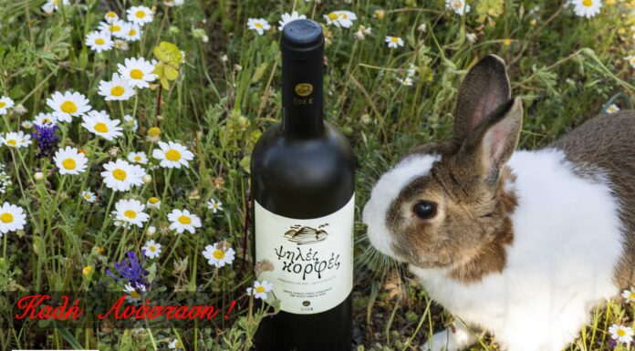 ΑΝΑΣΤΑΣΙΜΕΣ ΕΥΧΕΣ ΑΠΟ ΕΟΣ ΣΑΜΟΥ