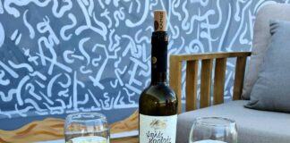 Samos Hotel: Εν αρχή ην… η οινογευσία!