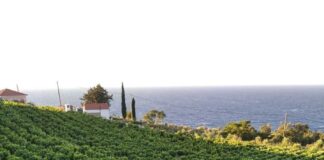 ΑΝΑΚΟΙΝΩΣΗ ΨΕΚΑΣΜΟΥ ΕΥΔΕΜΙΔΑΣ 2022