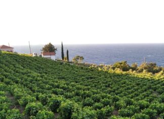 ΑΝΑΚΟΙΝΩΣΗ ΨΕΚΑΣΜΟΥ ΕΥΔΕΜΙΔΑΣ 2022