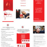 Triptixo_Aimodosias-Web