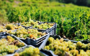 ΕΚΤΑΚΤΗ ΑΥΞΗΣΗ ΣΤΑ ΜΕΤΑΦΟΡΙΚΑ ΣΤΑΦΥΛΙΩΝ