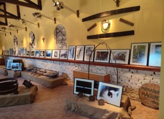 Φωτογραφικές «ΑΝΤΙΘΕΣΕΙΣ» στο Μουσείο Οίνου του ΕΟΣ Σάμου