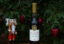 ΧΡΙΣΤΟΥΓΕΝΝΙΑΤΙΚΗ ΓΙΟΡΤΗ ΣΤΟ ΜΟΥΣΕΙΟ ΟΙΝΟΥ ΜΕ ΠΑΝΑΝΘΡΩΠΙΝΟ ΜΗΝΥΜΑ