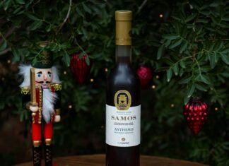 ΧΡΙΣΤΟΥΓΕΝΝΙΑΤΙΚΗ ΓΙΟΡΤΗ ΣΤΟ ΜΟΥΣΕΙΟ ΟΙΝΟΥ ΜΕ ΠΑΝΑΝΘΡΩΠΙΝΟ ΜΗΝΥΜΑ