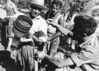 Αυθεντικές ιστορίες σαμιώτικου μοσχάτου